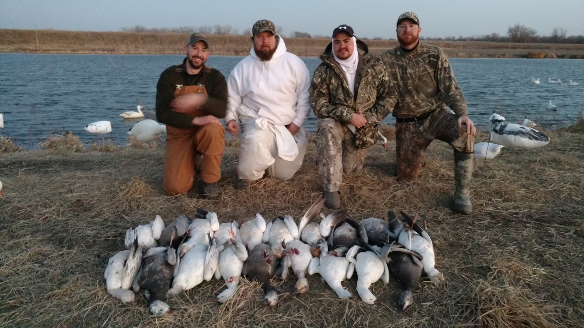 Missouri Snow Goose Hunting Photo